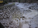 bild (21)
